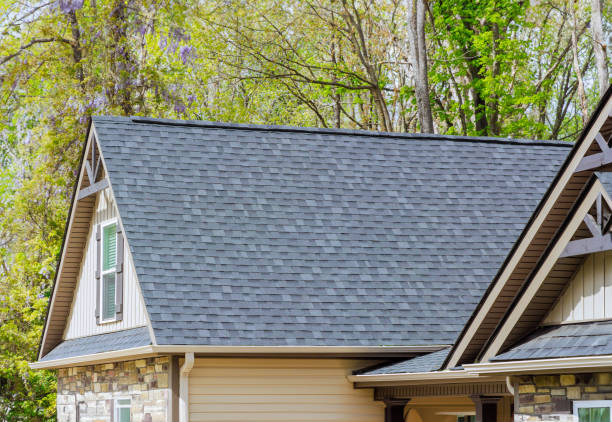 Best Sheet Metal Roofing  in West Springfield, VA