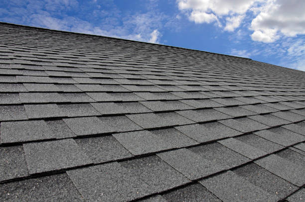 Best Flat Roofing  in West Springfield, VA